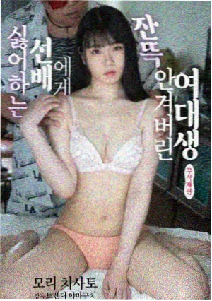 剧集 回声档案 封面图